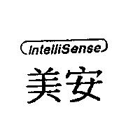 美安 IntelliSense