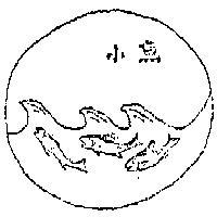 小魚及圖