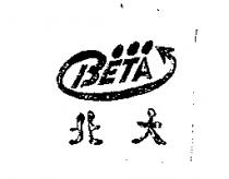 北大及 BETA 設計圖