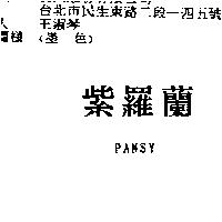 紫羅蘭 PANSY