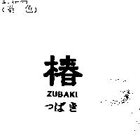 椿 ZUBAKI つばき