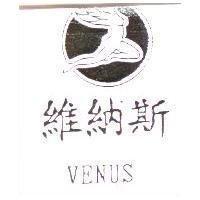 維納斯 VENUS 及圖