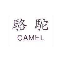 駱駝 CAMEL