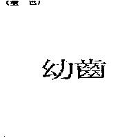 幼齒