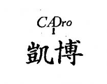 凱博 CAPRO 設計字