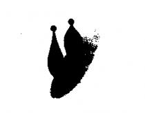 雙人設計圖