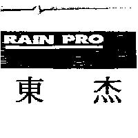 東杰 RAIN PRO 及圖