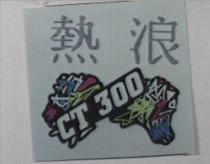 熱浪 CT300 及圖