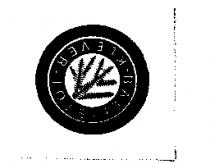 BALLISTOL-KLEVER 及圖