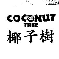 椰子樹 COCONUT TREE