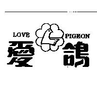 愛鴿及圖 LOVE PIGEON