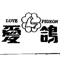 愛鴿及圖 LOVE PIGEON