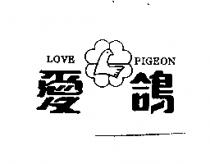 愛鴿及圖 LOVE PIGEON