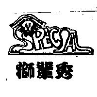 獅輩秀 SPECIAL 設計圖