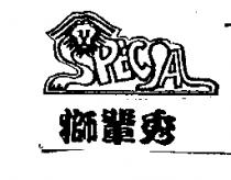獅輩秀及 SPECIAL 設計圖