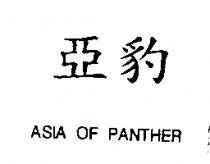 亞豹 ASIA OF PANTHER
