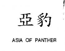 亞豹 ASIA OF PANTHER
