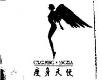 瘦身天使 CHARMING ANGELA 及圖