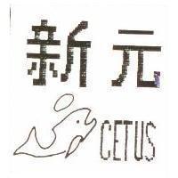 新元及圖