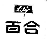 百合 Lily 及圖