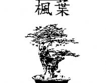 楓葉及圖