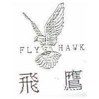 飛鷹 FLY HAWK 及圖