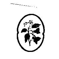 常春藤設計圖