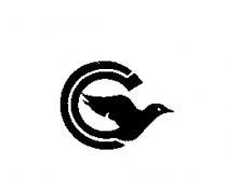 鳥設計圖