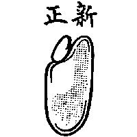 正新及圖