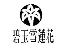 碧玉雪蓮花及圖