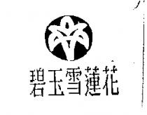 碧玉雪蓮花及圖