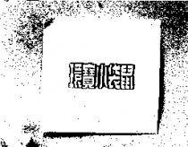 環寶小袋鼠