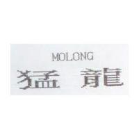 猛龍 MOLONG