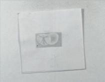 輝麟設計圖