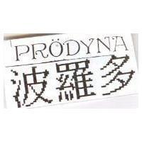 PRODYNA 波羅多