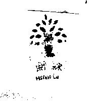 鮮綠及圖 HSIEN LU