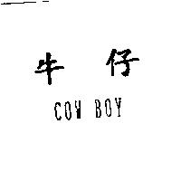 牛仔 COW BOY