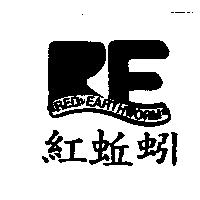 紅蚯蚓 RED EARTHWORM 及圖