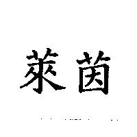 萊茵