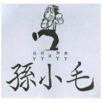 孫小毛及圖