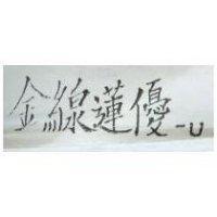 金線蓮優-U