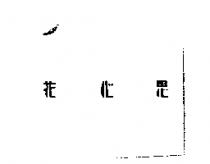 花心思