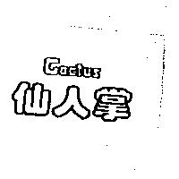 仙人掌 Cactus