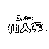 仙人掌 Cactus