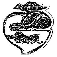 金蜜桃及圖