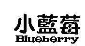 小藍莓 Blueberry