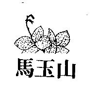 馬玉山及圖
