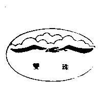 雙珠及圖