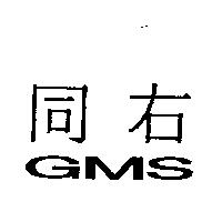 同右 GMS