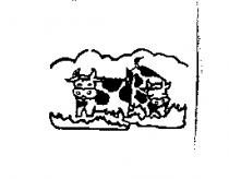雙牛設計圖